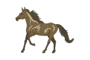 Horse Profile Embroidery Design Review